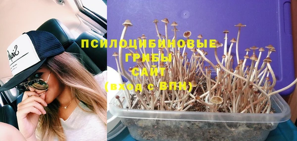 твердый Алексеевка