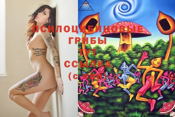 твердый Алексеевка
