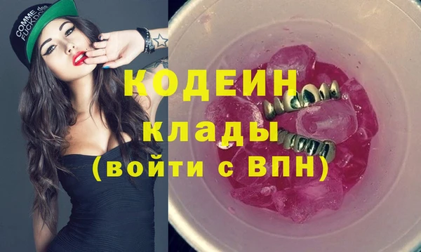 шишки Алексин