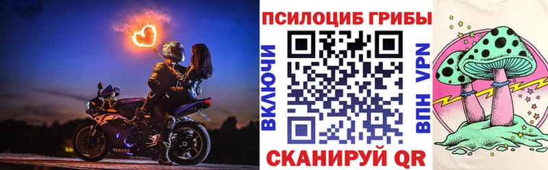Псилоцибиновые грибы Psilocybine cubensis Десногорск
