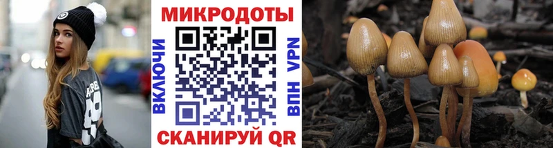 Псилоцибиновые грибы Psilocybe  hydra ONION  Десногорск  где купить наркотик 
