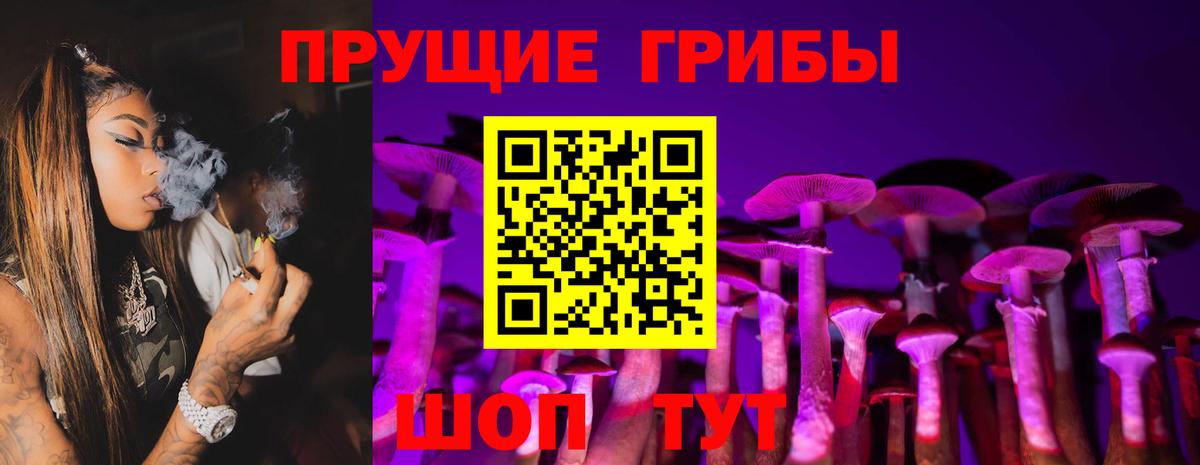 Галлюциногенные грибы прущие грибы Десногорск